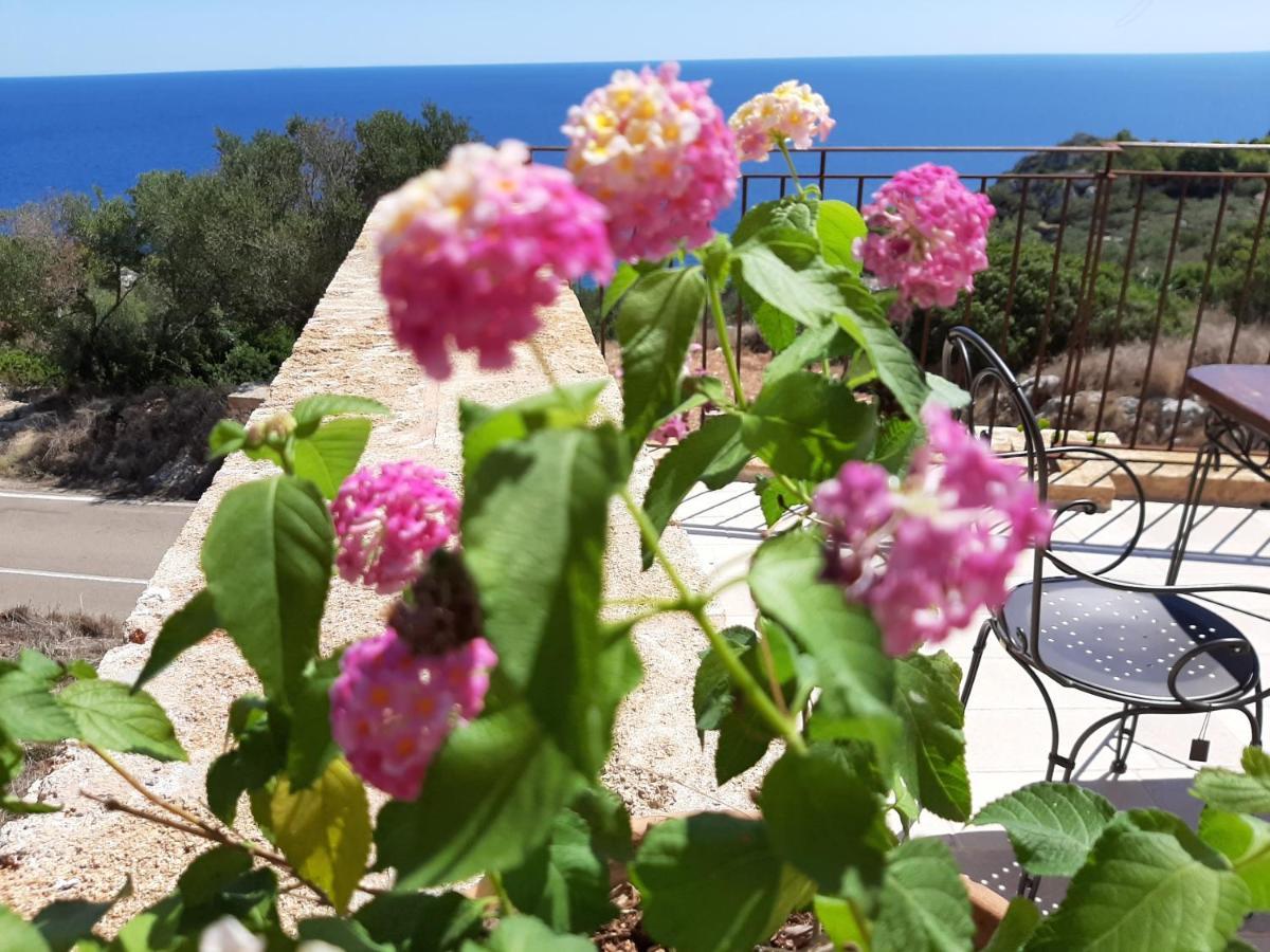 Villetta Cipolliane Santa Maria di Leuca Exteriör bild